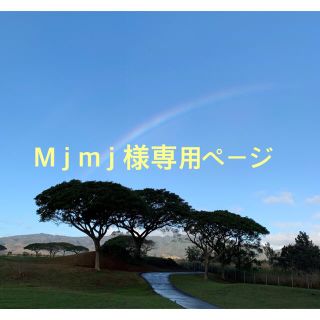 M j m j 様専用ページ(その他)