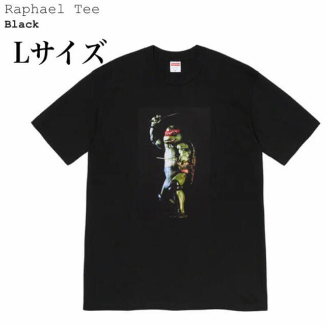 Tシャツ/カットソー(半袖/袖なし)Supreme Raphael Tee 黒L