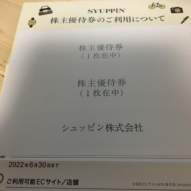 株主優待　シュッピン　2枚ショッピング