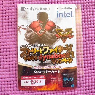 カプコン(CAPCOM)のCAPCOM×DynaBook　ストリートファイターV(家庭用ゲームソフト)