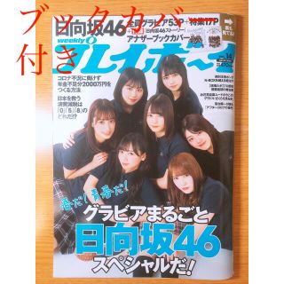 プレイボーイ(PLAYBOY)の週刊 プレイボーイ 2020年 4/6号(その他)