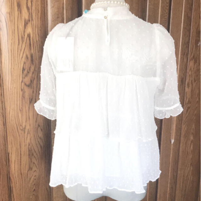 ZARA シースルートップス 新品未使用