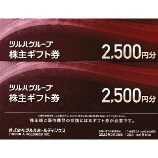 ツルハ株主優待券　6000円分（500円券×12枚）(ショッピング)