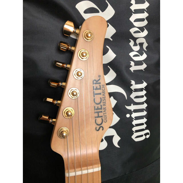 SCHECTER SD-2-24-AL/VTR/LDS/M 限定カラー 【爆売り!】 43680円引き
