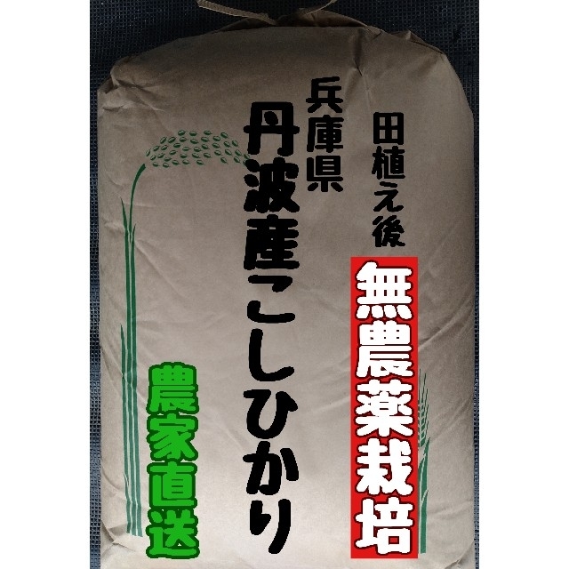 兵庫県丹波産こしひかり玄米10kg(令和2年産)