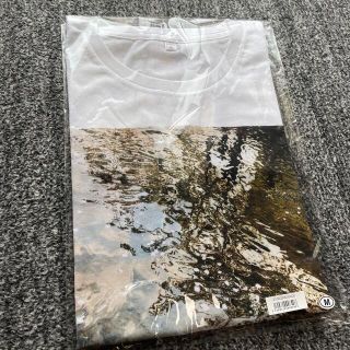 バックナンバー(BACK NUMBER)のback number チャリティーフォトTシャツ 2点(ミュージシャン)