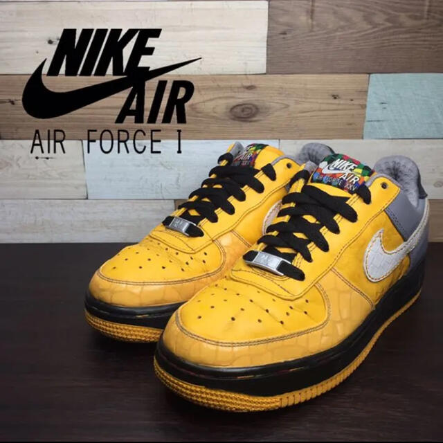 24cm AIR FORCE 1 (GS)