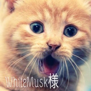 WhiteMusk様(猫)