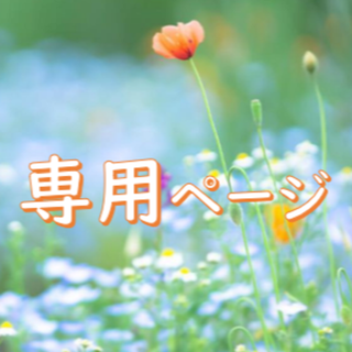 【専用】タキオン 5G対策・悪性(ネガティブ)電磁波対策 家庭用銀板プレート(その他)