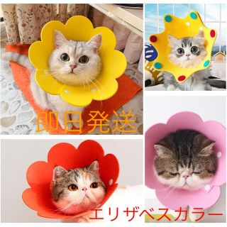 【数量限定】エリザベスカラー　犬　猫　術後　介護　イエロー　ピンク　S M L(猫)