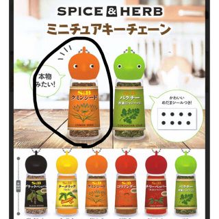 SPICE&HERB ミニチュアキーチェーン　クミンシードスパイスハーブ　ガチャ(その他)