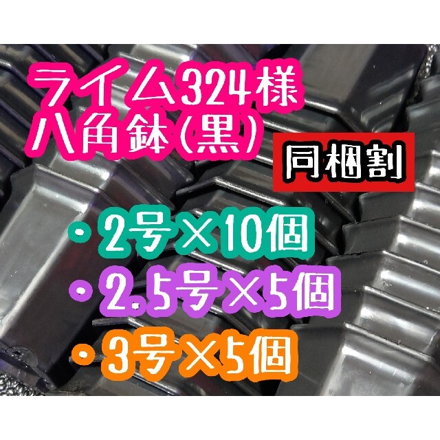 ライム324様 八角鉢 ハンドメイドのフラワー/ガーデン(プランター)の商品写真