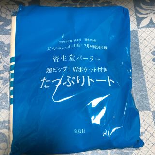 シセイドウ(SHISEIDO (資生堂))の★雑誌付録 資生堂パーラー 超ビック!Wポケット付きト－ト🌺★(トートバッグ)