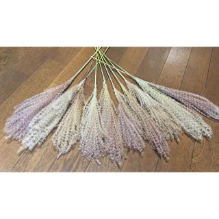 銀の紫陽花が作った作った赤城山麓のススキは美しい象牙色‼️⑦(ドライフラワー)