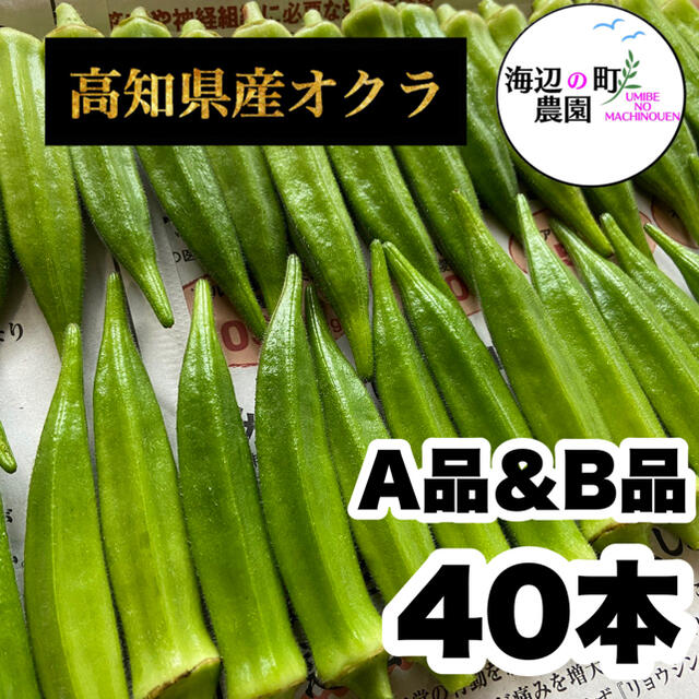 夏野菜【高知県産オクラ】A品B品 40本 新鮮おくら産地直送 即購入OKですの通販 by 海辺の町農園 丸オクラ(朝採れ)500g 福岡県産
