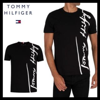 トミーヒルフィガー(TOMMY HILFIGER)のTOMMY HILFIGER メンズTシャツXL(Tシャツ/カットソー(半袖/袖なし))