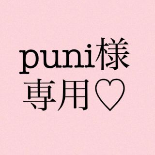 puni様専用ページ♡(ピアス)