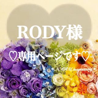 ♡RODY様　専用ページ♡(ピアス)