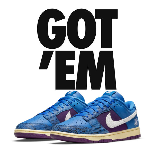 NIKE DUNK LOW SP