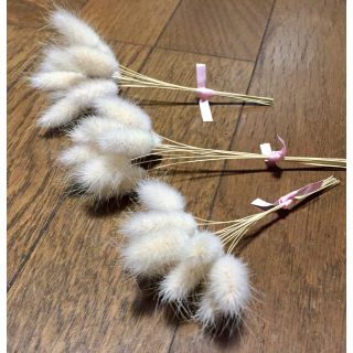 銀の紫陽花が作ったふわっふわで可愛いラグラスのドライフラワー(ドライフラワー)