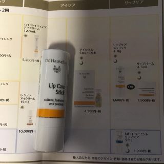 ドクターハウシュカ(Dr.Hauschka)のDr.Hauschka リップクリーム 新品(リップケア/リップクリーム)