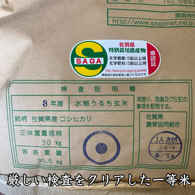 激安新品☆新米☆令和3年産 七夕こしひかり 減農薬米 20kg 佐賀県 特別栽培米