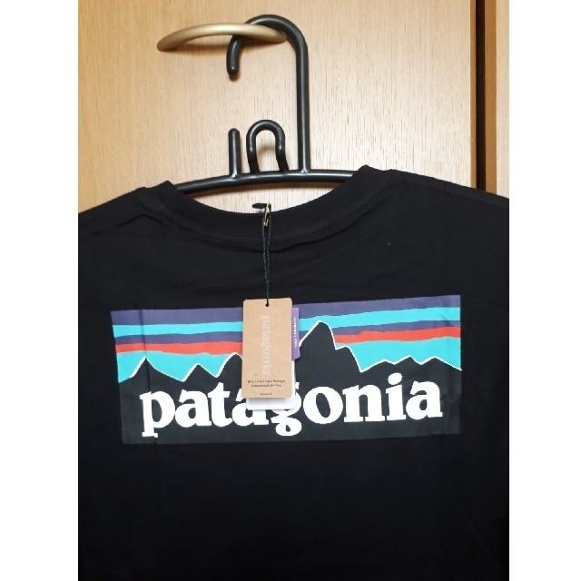 patagonia(パタゴニア)のパタゴニア Patagonia Tシャツ メンズのトップス(Tシャツ/カットソー(半袖/袖なし))の商品写真