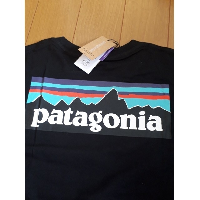 patagonia(パタゴニア)のパタゴニア Patagonia Tシャツ メンズのトップス(Tシャツ/カットソー(半袖/袖なし))の商品写真