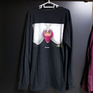 シュプリーム(Supreme)のSupreme Araki Orchid L/S Tee(Tシャツ/カットソー(七分/長袖))