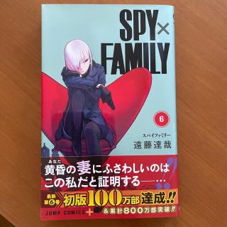 ＳＰＹ×ＦＡＭＩＬＹ ６(その他)