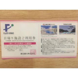 藤田観光　株主優待券1枚　日帰り施設ご利用券　2名分入場無料(遊園地/テーマパーク)