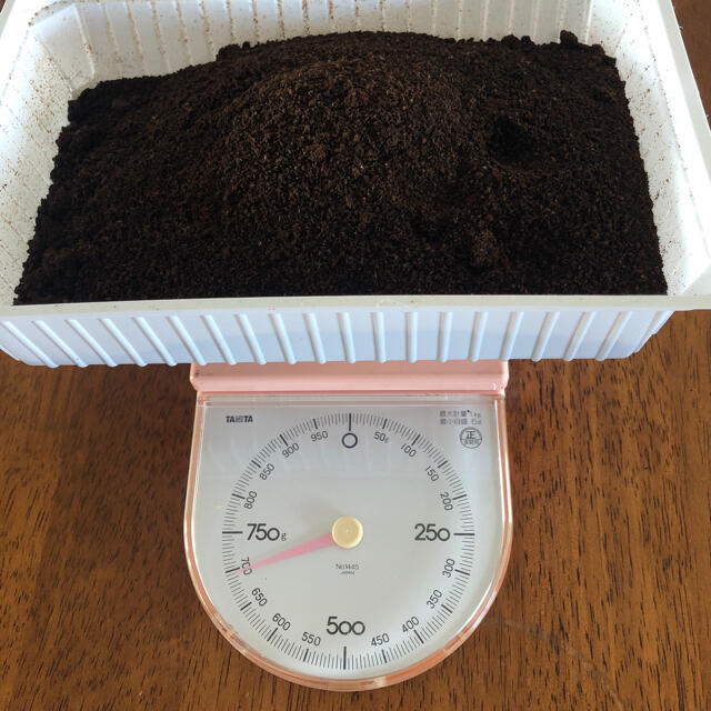 コーヒー豆のカス ハンドメイドのフラワー/ガーデン(その他)の商品写真