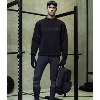 アレキサンダーワン(Alexander Wang)のアレキサンダーワン(スウェット)