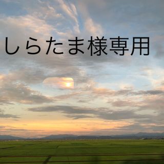 しらたま様専用(カラージェル)