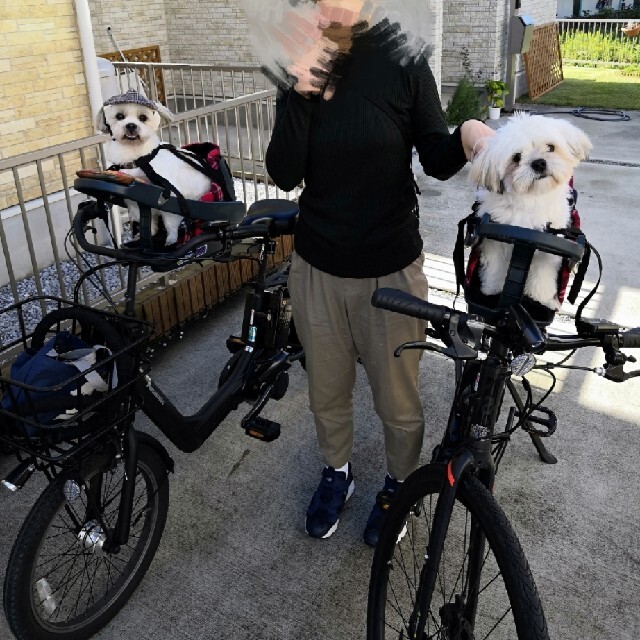 バディライダー BUDDY RIDER 自転車用ペットシート バディブースター