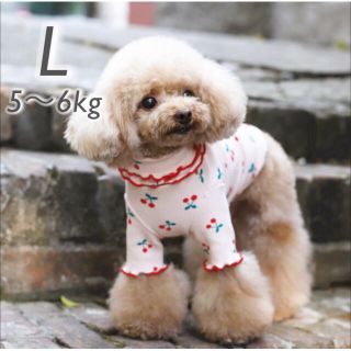 犬 猫 小型犬 ドッグウェア L ピンク さくらんぼ フリル 愛犬 犬服 韓国の通販 By Merci S Shop ラクマ 犬 猫 小型犬 ドッグウェア L ピンク さくらんぼ フリル 愛犬 犬服 韓国の通販 By Merci S Shop ラクマ