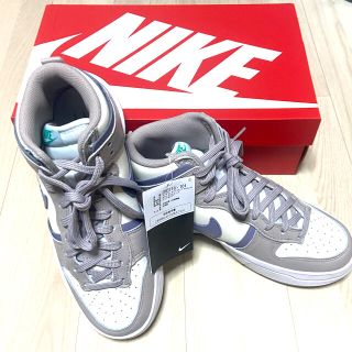 ナイキ(NIKE)の完売品　入手困難！NIKE ダンクハイレベル　24.5cm(スニーカー)