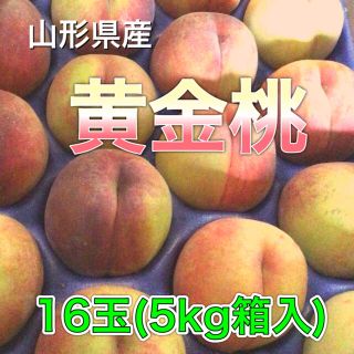 82803 山形県産 黄金桃 16玉 5kg箱入り 訳あり 桃(フルーツ)