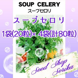  スープセロリ　家庭菜園 野菜 ハーブ 種(その他)