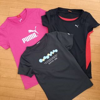 プーマ(PUMA)のレディーススポーツTシャツ　３枚セット　Mサイズ(ウェア)