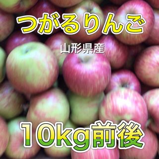 82801 山形県産 つがるりんご 10kg前後 訳あり リンゴ(フルーツ)