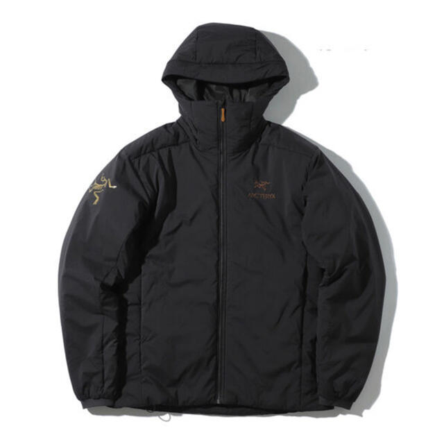 ARC'TERYX(アークテリクス)のガメラ820様専用　BEAMS別注Atom AR Hoody Ｍサイズ メンズのジャケット/アウター(マウンテンパーカー)の商品写真