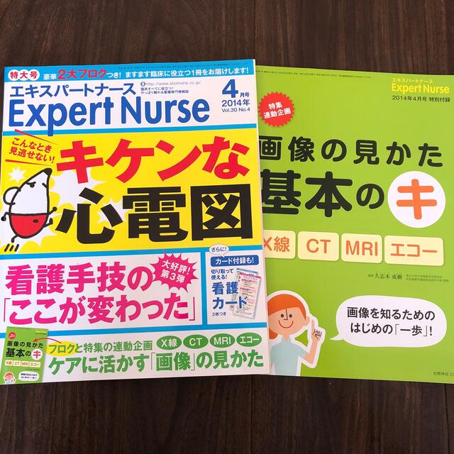 Expert Nurse (エキスパートナース) 2014年 04月号 エンタメ/ホビーの本(健康/医学)の商品写真