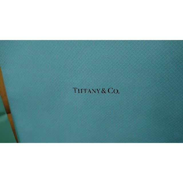 Tiffany & Co.(ティファニー)のティファニー ショッパー 2枚 レディースのバッグ(ショップ袋)の商品写真