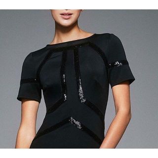 タダシショウジ(TADASHI SHOJI)の19新品 S タダシショージ Tadashi Shoji BH1867SNT(ひざ丈ワンピース)