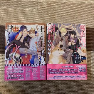 王と王子の甘くないα婚/魔術師は野獣な貴公子に溺れる(ボーイズラブ(BL))