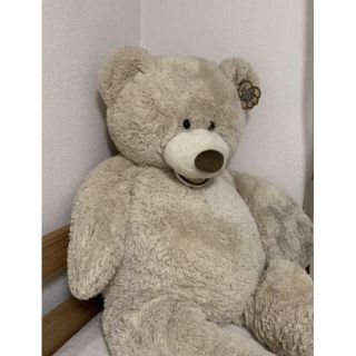 コストコ Costco　くま 熊 クマ くまさん ぬいぐるみ bear(ぬいぐるみ)