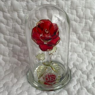 ディズニー 薔薇 置物の通販 25点 Disneyのインテリア 住まい 日用品を買うならラクマ ディズニー 薔薇 置物の通販 25点 Disneyのインテリア 住まい 日用品を買うならラクマ
