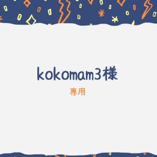 kokomam3様専用☆多肉植物(その他)