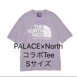 ザノースフェイス(THE NORTH FACE)のPALACE×The north face tee 美品 Sサイズ(Tシャツ/カットソー(半袖/袖なし))